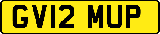 GV12MUP