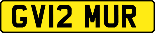 GV12MUR