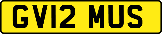 GV12MUS