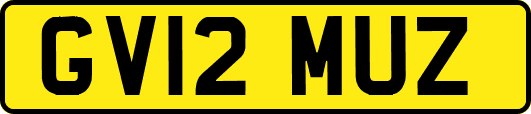 GV12MUZ