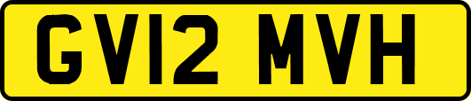 GV12MVH