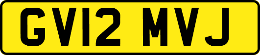 GV12MVJ