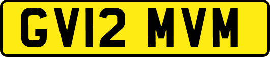 GV12MVM