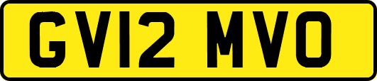GV12MVO