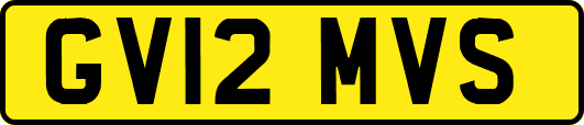 GV12MVS