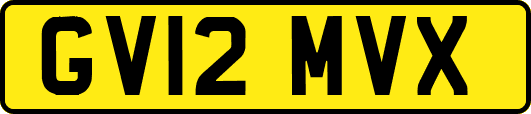 GV12MVX