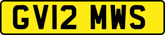 GV12MWS