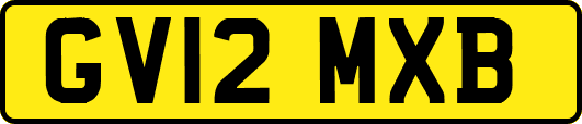 GV12MXB