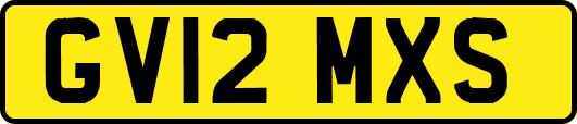 GV12MXS