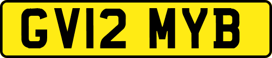GV12MYB