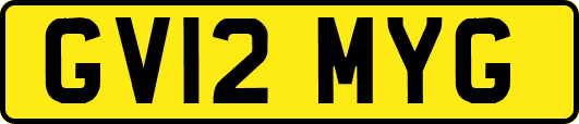 GV12MYG
