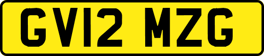 GV12MZG