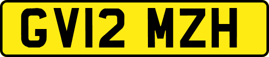 GV12MZH