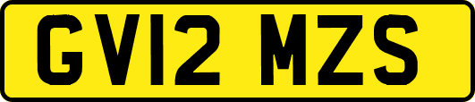 GV12MZS