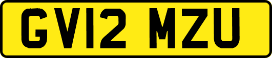 GV12MZU