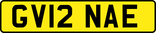 GV12NAE