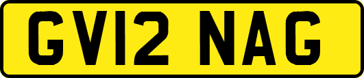 GV12NAG