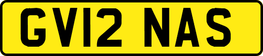 GV12NAS