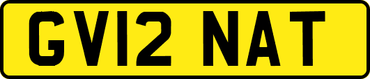 GV12NAT