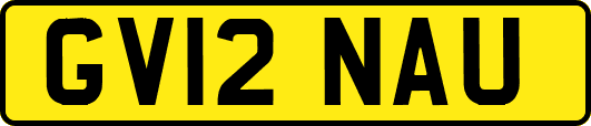 GV12NAU