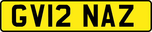 GV12NAZ