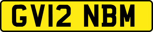 GV12NBM