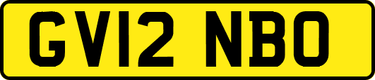 GV12NBO