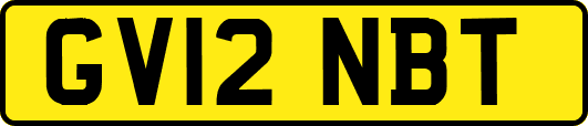 GV12NBT