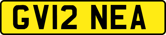 GV12NEA
