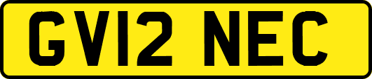 GV12NEC