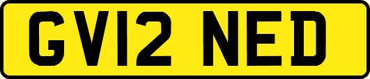 GV12NED