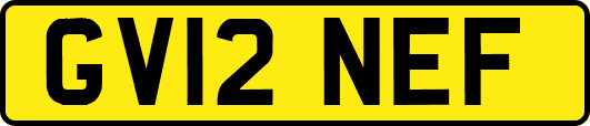 GV12NEF