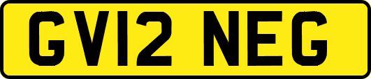 GV12NEG