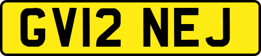 GV12NEJ