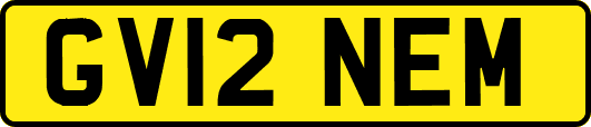 GV12NEM