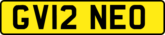 GV12NEO
