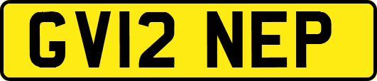 GV12NEP
