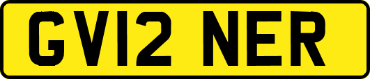 GV12NER
