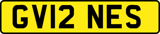 GV12NES
