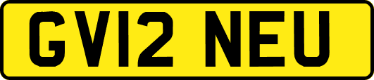 GV12NEU