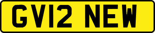 GV12NEW