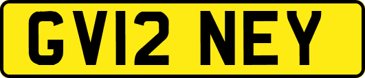 GV12NEY
