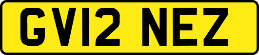 GV12NEZ