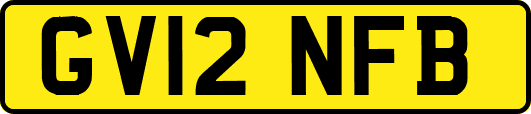 GV12NFB