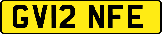 GV12NFE