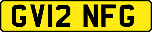 GV12NFG