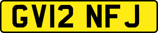GV12NFJ