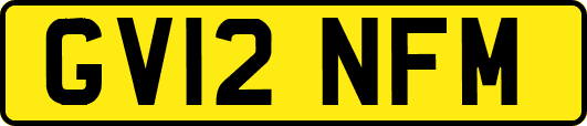 GV12NFM