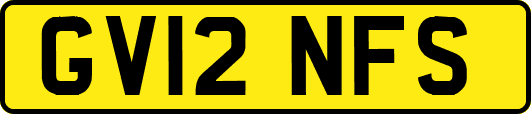 GV12NFS
