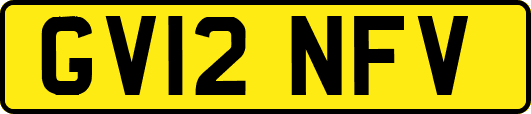 GV12NFV